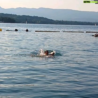 Rafiath Rashid Mithila Instagram - She decided to swim in Lake Geneva 💙