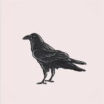 Rafiath Rashid Mithila Instagram - Dear Crow, How do you grow Out of the stones and trash That they throw? Dear Crow, Don't you get tired of Your hustle-bustle, Your to and fro? Dear Crow, How do you deal With their judgements Of how smart or dumb you go? Dear Crow, How does it feel? The way they treat you Less than a bird, more than a foe? Dear Crow, By the end of the day Do you sing When you feel low? Dear Crow, Will you teach me and show All that you see, all that you be And all that you know? ~ Mithila #gowiththecrow @tanim228 @shawkisyed #poemoftheday #instapoem #poemoninstagram #instapoet