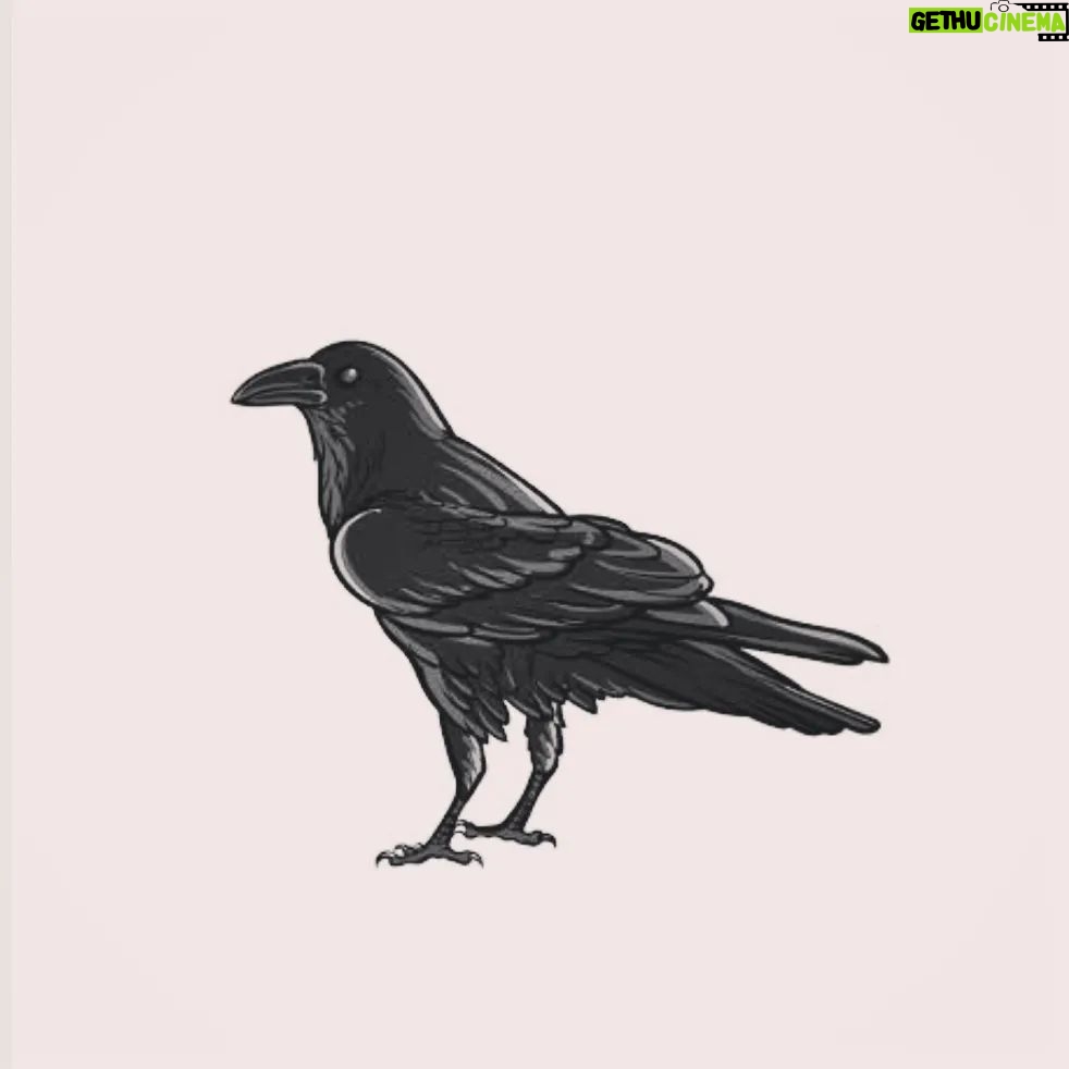 Rafiath Rashid Mithila Instagram - Dear Crow, How do you grow Out of the stones and trash That they throw? Dear Crow, Don't you get tired of Your hustle-bustle, Your to and fro? Dear Crow, How do you deal With their judgements Of how smart or dumb you go? Dear Crow, How does it feel? The way they treat you Less than a bird, more than a foe? Dear Crow, By the end of the day Do you sing When you feel low? Dear Crow, Will you teach me and show All that you see, all that you be And all that you know? ~ Mithila #gowiththecrow @tanim228 @shawkisyed #poemoftheday #instapoem #poemoninstagram #instapoet
