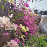 Rafiath Rashid Mithila Instagram - বসন্ত 🌼🏵️🌺