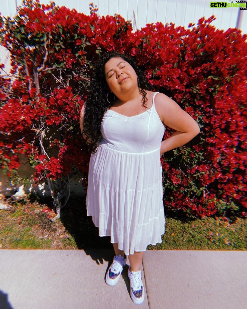 Raini Rodriguez Instagram - Roses are red Violets are blue I saw this on the side of the road What did you expect me to do 🌺🌺🌺🌺