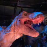 Raini Rodriguez Instagram – I took my family to visit Jurassic World: The Exhibition last week and y’all…it did not disappoint 🦖 There were so many beautiful sights and dinosaurs to see. You are completely transported to Isla Nublar! We even got to meet our favorite little dino, Bumpy!! Thank you @universalpictures, @jurassicworldexhibition, and @dreamworks for taking my family on an awesome adventure!! Y’all NEED to check out this exhibition! #JWExhibition #DinosinDallas #JurassicWorld #CampCretaceous