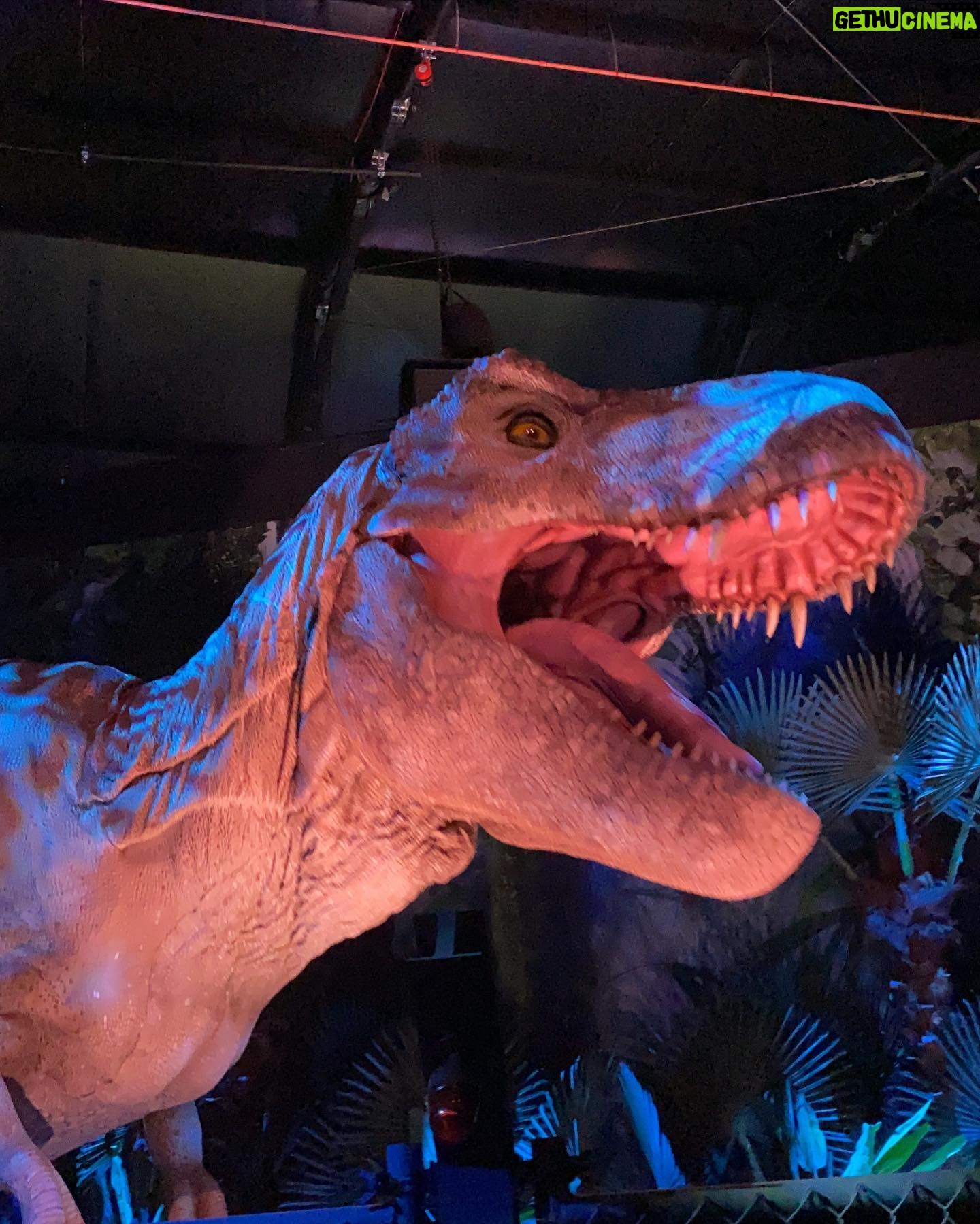 Raini Rodriguez Instagram - I took my family to visit Jurassic World: The Exhibition last week and y’all…it did not disappoint 🦖 There were so many beautiful sights and dinosaurs to see. You are completely transported to Isla Nublar! We even got to meet our favorite little dino, Bumpy!! Thank you @universalpictures, @jurassicworldexhibition, and @dreamworks for taking my family on an awesome adventure!! Y’all NEED to check out this exhibition! #JWExhibition #DinosinDallas #JurassicWorld #CampCretaceous