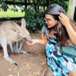 Rakshita Suresh Instagram - fed some Koalas and Kangaroos on a beautiful sunny day here in Australia! 🇦🇺🦘🐨💕😍☀️ P.S. - I hereby officially declare that Koala is my spirit animal. 🐨🥰