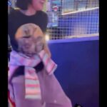 Ramona Young Instagram - Half Baked: Totally High shenanigans… lost most my bts in my other phone 🥲 @tubi @amazon