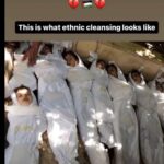 Rana Raeis Instagram – You don’t have to be a Muslim to support Palestine; you just have to be human! 

#freepalestine #غزة #gazaunderattack #gaza