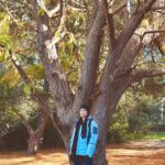Raquel Pomplun Instagram - A very winter hike… in the heart of #LA 💗 We discovered the @franklincanyonpark #hike and even though it was windy and cold it did not disappoint 😍 #hike #touristing #local #LA #winter #2024 #toddlers #familia #Friends #exploring #Fun #RaquelPomplun #Pomplunation @aletspomplun #hubby