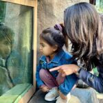 Raquel Pomplun Instagram - A zoological affair 😍 @sandiegozoo 💕 #home #zoo #SanDiego #SD #Pomplunation #RaquelPomplun #mom #daughter #dad #familytime #hubby #familia #fam #exploring #touristing #comfy #ootd #sweats #happy #memorymaking #Cali #SoCal