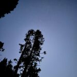 Raquel Pomplun Instagram - This weekend we disconnected 🤎 #Sequoia #California #Camping #exploring #touristing #pomplunation #family #familia #disconnect #appreciate #experience #forest #RaquelPomplun