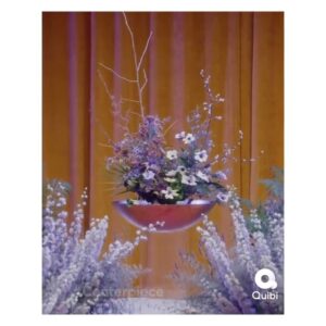 Rashida Jones Instagram - From the minute I met 
@bloomandplume, I knew I wanted him in my life. He is funny, curious, deep, artistic and a great communicator. And we have so much FUN. And finally the world gets to partake in it all!  #Centerpiece on @quibi NOW