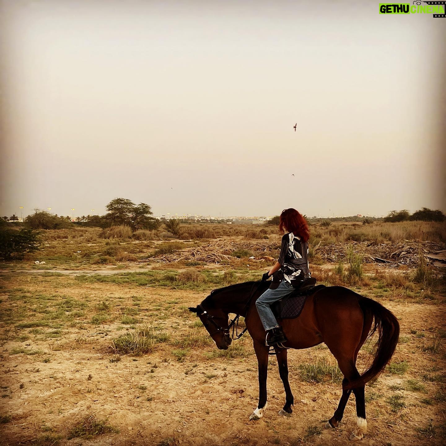 Rawan Mahdi - 12.8K Likes - بجناحٍ واحد!!
لا يمكنني التحليق بجناحٍ واحد
أحتاج لأن تُريني السماء
بعضَ العاطفة..
أحاولُ اختلاس نظرة نحو الشمس المشرقة..
لكنْ.. لا يُمكنني التحليق
بجناحٍ واحد!!
جثوتُ على ركبتيّ
ليالٍ طويلة.. أُصلّي..
لم يسمَعني أحدْ!
*مهدي الصايغ