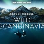 Rebecca Ferguson Instagram - What an honour it was to be asked to narrate these 3 MAGICAL episodes depicting the nature & wildlife of my DNA. Can’t wait to share it with you all.