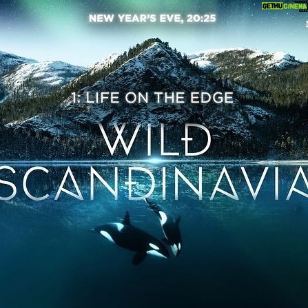 Rebecca Ferguson Instagram - What an honour it was to be asked to narrate these 3 MAGICAL episodes depicting the nature & wildlife of my DNA. Can’t wait to share it with you all.