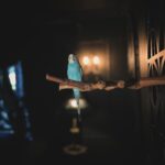 Rebecca Victoria Hardy Instagram - Life of a Gothic Birdie 🖤🦇🕸️🦜 #gothicbaby #budgie #parakeet
