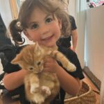Rebecca Victoria Hardy Instagram - My dad found some kitties OH MY GOD #kittens
