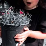 Rebecca Victoria Hardy Instagram - Thumb green, heart black 🖤🦇🕸️🌿 #gothicbaby #garden #landscaping #spring gothic baby garden #goth