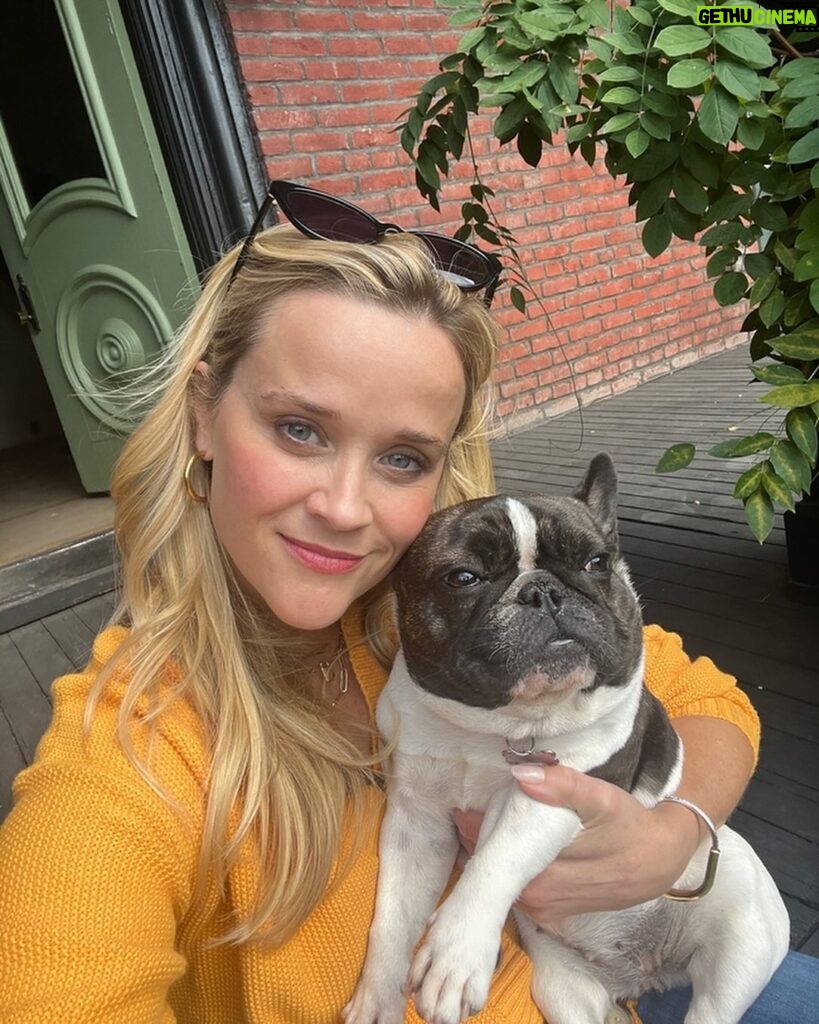 Reese Witherspoon Instagram - I've met many animals on this life journey, all have so much meaning to me. ❤️ Thank you for the cuddles, support & love: Minnie, Willy, Izzy, Benji, and Major!