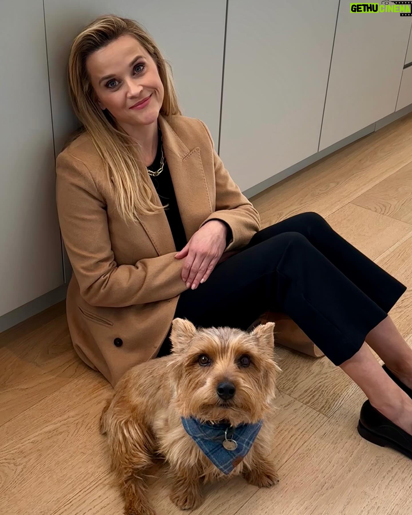 Reese Witherspoon Instagram - I've met many animals on this life journey, all have so much meaning to me. ❤️ Thank you for the cuddles, support & love: Minnie, Willy, Izzy, Benji, and Major!