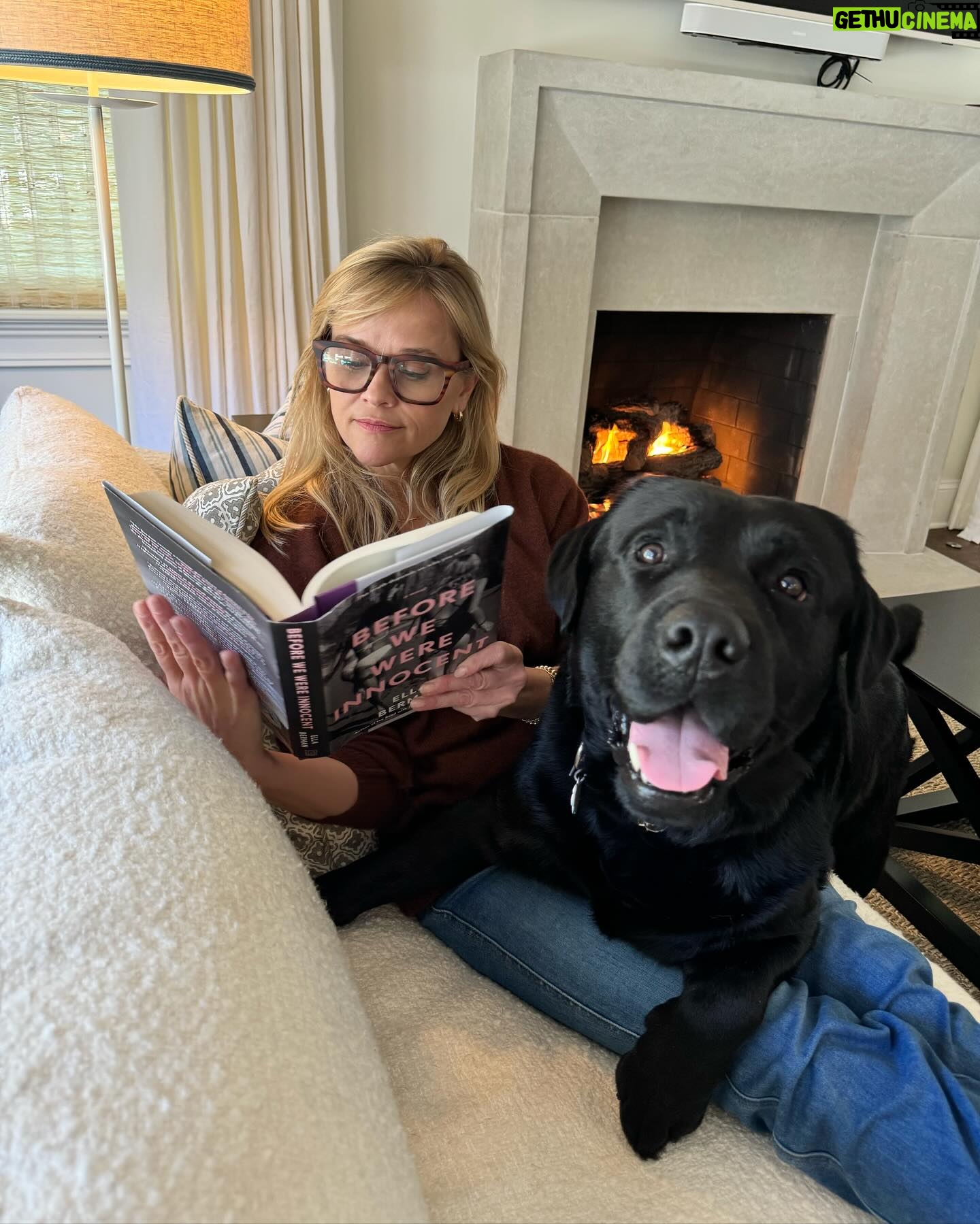 Reese Witherspoon Instagram - I've met many animals on this life journey, all have so much meaning to me. ❤️ Thank you for the cuddles, support & love: Minnie, Willy, Izzy, Benji, and Major!