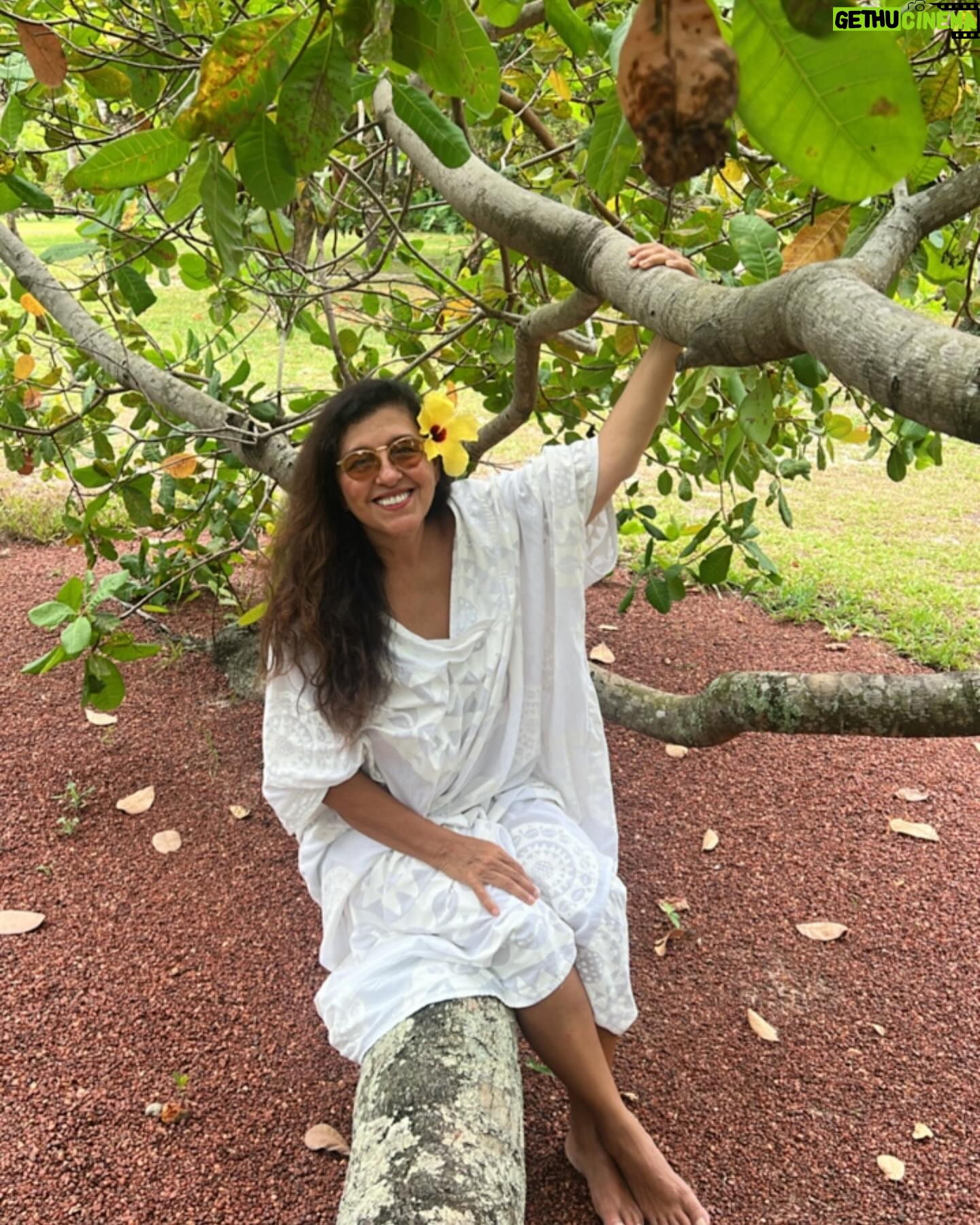 Regina CasΓ© Instagram - Que sextaβ¦ Sobe na Γ‘rvore,dorme na sombra,pula no rio,brinca na areia,mergulha no marβ¦ ππ½ππ½ππ½ππ½ππ½ππ½ππ½ππ½ππ½ππ½ππ½ππ½ππ½ππ½ππ½ Que sextaβ¦