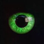Regina King Instagram - Now listening to “Green Eyes” @desdunemjv said he’d quit smoking if he gets a million streams….Maaaan Listen…I got this jam on repeat! Link in my bio