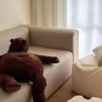 Reina Triendl Instagram - 🏠 インテリアが好きで 20歳くらいから欲しかったものをやっと 買ったり、好きな内装にリノベしてみたり。 熊🐻はIKEAから迎え入れました。 おうちが一番好きだ✌︎