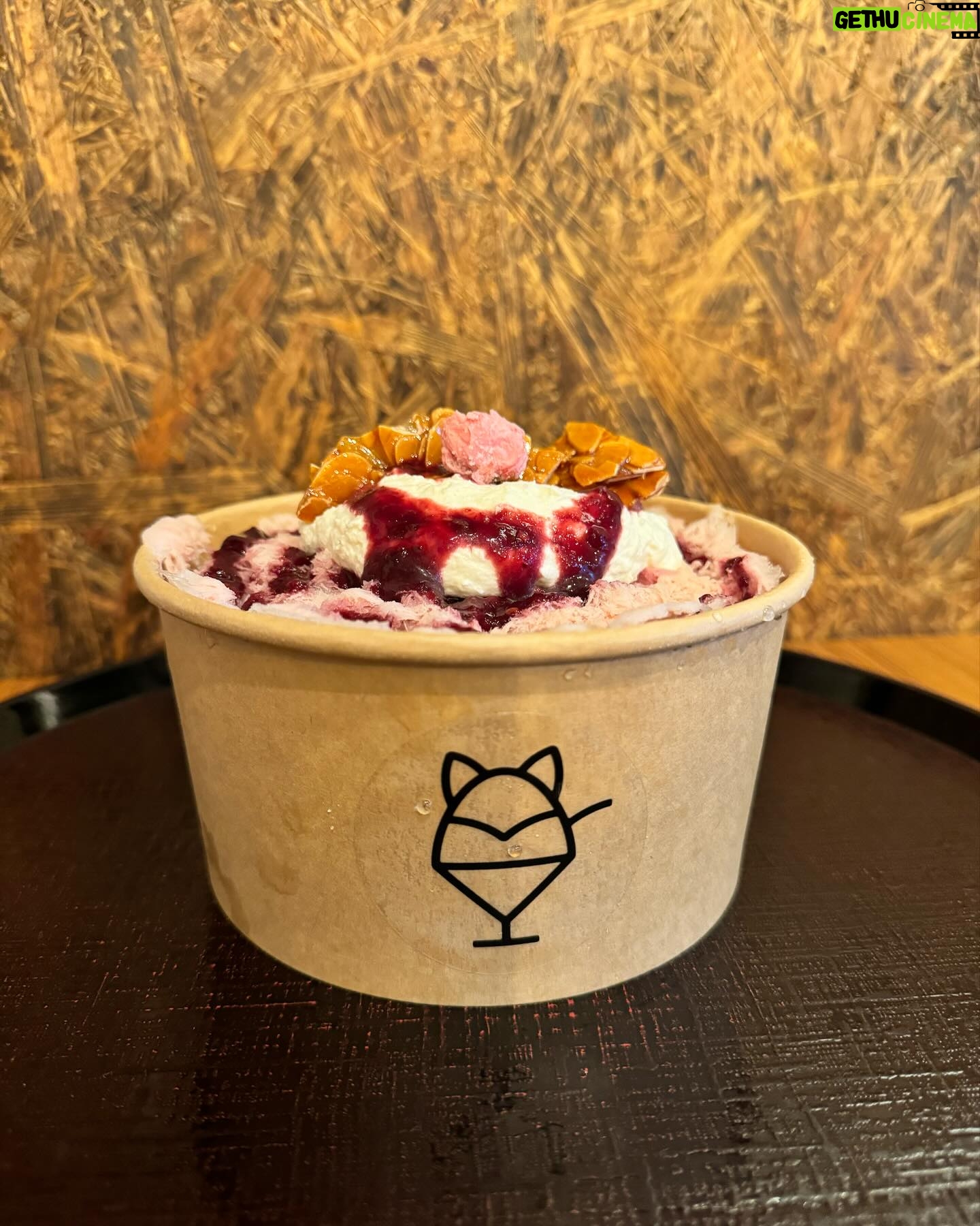 Rena Matsui Instagram - 🌸チェリーブロッサムとチェリー チェリーとベリーの甘酸っぱさがありながら、最後に残る後味はしっかりチェリーブロッサム。 さすがだなあと思いながら食べてると、だんだんアールグレイの風味が現れてそれが抹茶のカスタードとよく合う。 トップにのった桜の塩漬けは甘じょっぱいを感じたい時にベスト! 🦊kitsune スペシャル どかんとのった濃厚な酒粕のクリーム。塩加減と甘さが抜群の醤油粕クリーム。それだけでも美味しいのに、中から出てくる梅酒の梅あんで、こりゃあスペシャルだと唸る構成でした。 酒粕クリームも追加すればよかったー!また食べたーい!と後悔してるくらい美味しかった。 毎週新しいメニューが出るので一体どれを食べようかと悩むのもまた楽しい✨ 時間を巻き戻してもう一度食べたい、、、。 #かきごおりすと #氷屋kitsune