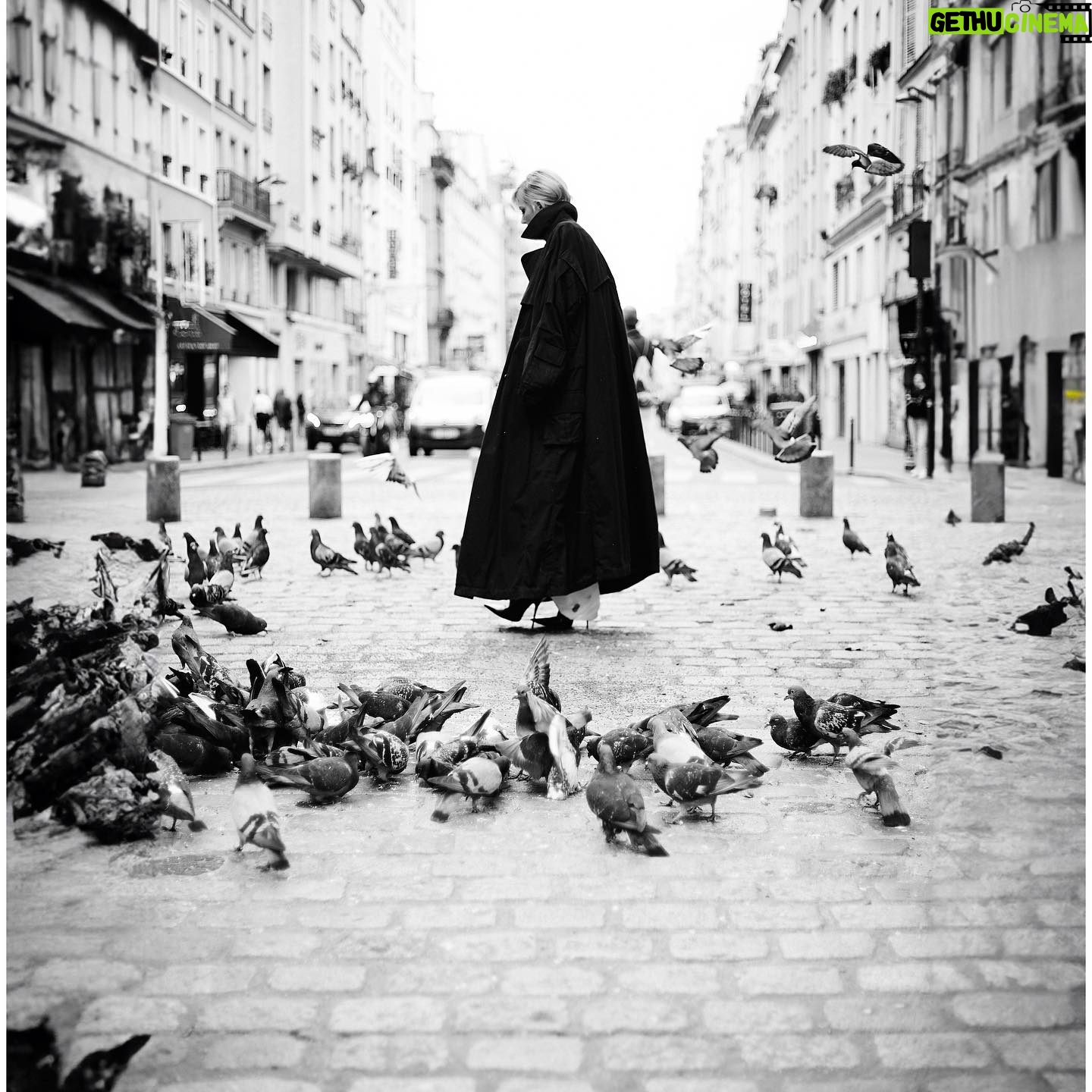 Renata Litvinova Instagram - Ведь птицы чьи-то души? After all, birds are someone’s souls?