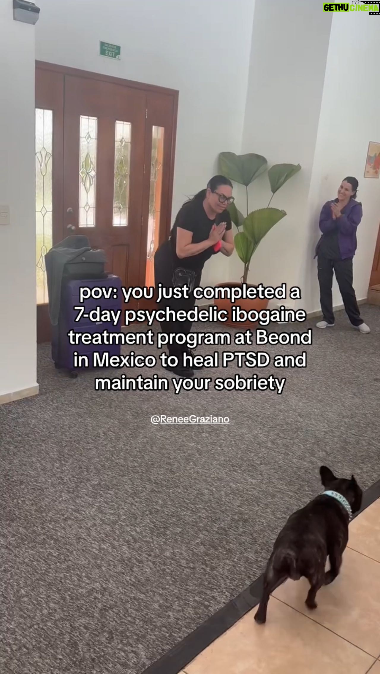 Renee Graziano - 1.5K Likes - We are deeply inspired by @reneegraziano from Mob Wives, who came to Beond to continue her healing journey, liberate herself from decades of trauma, and maintain her new sobriety. She has shared that the emotional burdens she carried made physical in her shoulders and her back for the last 30 years are now gone. Renee feels free and forgiven, a testament to the transformative power and the strength of the human spirit to overcome.
#mobwives #sobriety #ibogainetreatment #psychedelictherapy #reneegraziano #beondibogaine