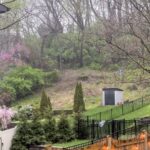 Renee Paquette Instagram - 🌦️ post rain garden soup