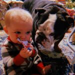 Renee Paquette Instagram - Blue is 8 today!!!! I love this big fat stinky farty demanding moody emotional boy so much! Cake when we get home!