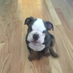 Renee Paquette Instagram - Blue is 8 today!!!! I love this big fat stinky farty demanding moody emotional boy so much! Cake when we get home!