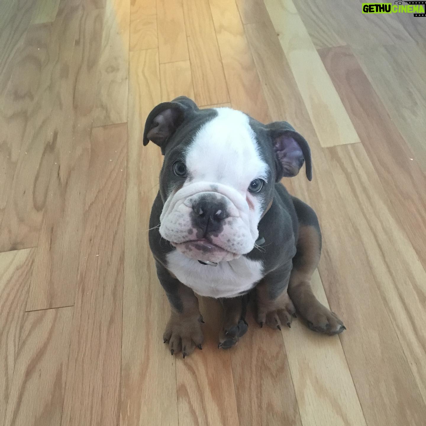 Renee Paquette Instagram - Blue is 8 today!!!! I love this big fat stinky farty demanding moody emotional boy so much! Cake when we get home!