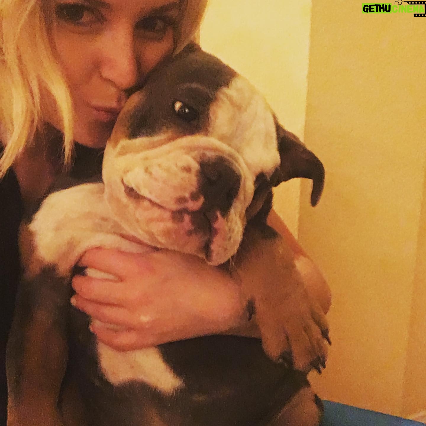Renee Paquette Instagram - Blue is 8 today!!!! I love this big fat stinky farty demanding moody emotional boy so much! Cake when we get home!