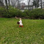 Renee Paquette Instagram - 80 Easter eggs and a carrot cake later! Easter was a success 🐣