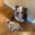 Renee Paquette Instagram - Blue is 8 today!!!! I love this big fat stinky farty demanding moody emotional boy so much! Cake when we get home!