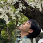 Renjun Instagram - 🌸🌸🌸🌸🌸🌸🌸🌸🌸🌸🌸🌸🌸🌸🌸🌸🌸🌸