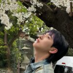 Renjun Instagram - 🌸🌸🌸🌸🌸🌸🌸🌸🌸🌸🌸🌸🌸🌸🌸🌸🌸🌸