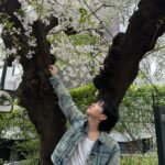 Renjun Instagram – 🌸🌸🌸🌸🌸🌸🌸🌸🌸🌸🌸🌸🌸🌸🌸🌸🌸🌸