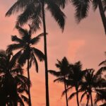 Revathi Pillai Instagram - recently..🌊🎬🍔🌴🌞✈️