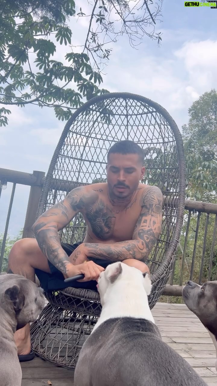 Reykon - 16K Likes - Se le puede dar fruta a los perros?