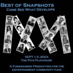 Rhea Seehorn Instagram - Thank you to everyone who bought tickets to “Best of Snapshots” and made this a sold out weekend! Proceeds will go to support our fellow entertainment professionals in need right now, through the #EntertainmentCommunityFund. Can’t wait to see your smiling faces out there tonite!!! One acts written by: Gloria Calderón Kellett, Lindsey Kraft, Jay Lacopo, Andrew Leeds Directed by: Jason Ensler, Todd Grinnell, Richie Keen, Gloria Calderón Kellett, Lindsey Kraft, Jay Lacopo, Andrew Leeds Starring: Stephanie Beatriz, Brianna Brown, Desmond Chiam, India De Beaufort, Isabella Gomez, Todd Grinnell, Dulé Hill, Richie Keen, Gloria Calderón Kellett, Jay Lacopo, Joanna Leeds, Al Madrigal, Constance Marie, Benito Martinez, Sally Pressman, Victor Rasuk, Rhea Seehorn, Timm Sharp, Jazmyn Simon, Daya Vaidya, Noah Wyle Produced by: Nicki Georgi, Todd Grinnell, Richie Keen, Gloria Calderón Kellett, Lara Wickes
