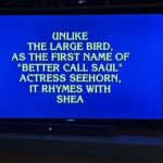 Rhea Seehorn Instagram - To be fair, I am also a large bird.