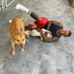 Ricardo Quaresma Instagram - 🐶🤪