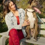 Richa Shukla Moorjani Instagram - Will @richamoorjani and Dutch hit it off? Keep up with @shirascottastrof and the wonderful work she does with @theanimalrescuemission for more rescue stories!