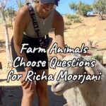 Richa Shukla Moorjani Instagram - When actor and animal advocate @richamoorjani stopped by our sanctuary, we just had to learn more about her vegan journey and love for animals, so we let our rescues choose the questions! Thank you for advocating for farm animals, Richa, and inspiring others to see them as friends, not food. Comment and let us know how you’re a friend to farm animals, too! 💚 #farmsanctuary #farmsanctuarylife #farmanimals #farmanimalsanctuary #farmanimal #farmanimalrescue #animalrescue #friendsnotfood
