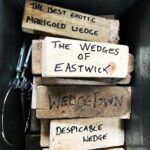 Richard Madden Instagram – Wedge
#setlife #wedgelife
🎥#bodyguard