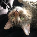 Ricky Gervais Instagram – Sup?