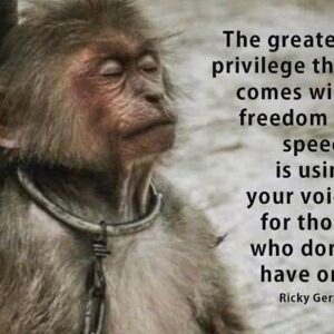 Ricky Gervais Instagram - 