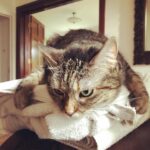 Ricky Gervais Instagram – Warm towels